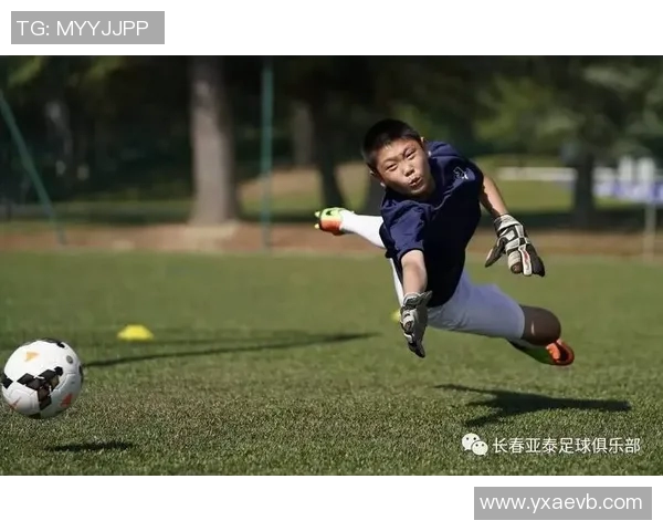 足球明星的孩子们成长记：从小球员到未来之星的精彩人生盘点